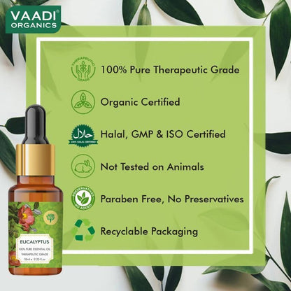 https://cdn.shopify.com/s/files/1/1857/6931/products/JJeUsbKcZR.jpg?v=1617935365