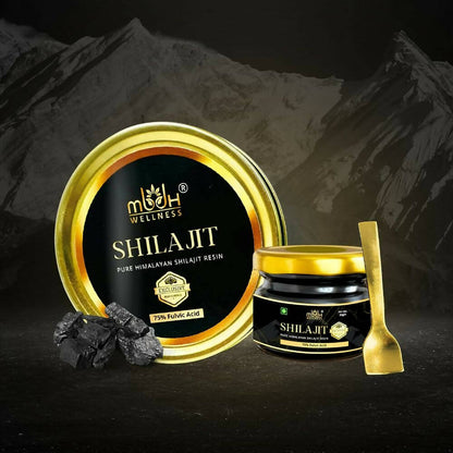 https://cdn.shopify.com/s/files/1/1857/6931/products/JKwu9qiTRB.jpg?v=1693890335