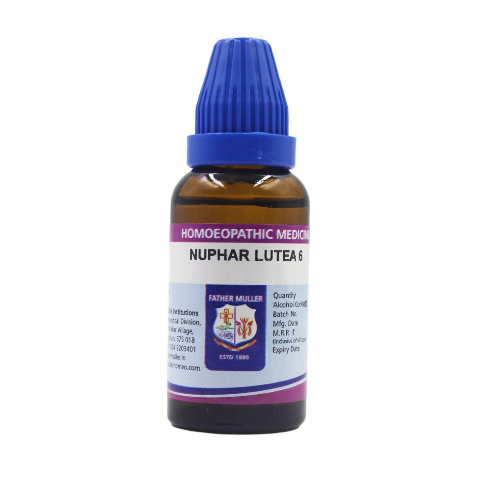 https://cdn.shopify.com/s/files/1/1857/6931/files/JMLExjlyhH.jpg?v=1718883729