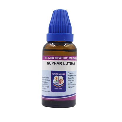 https://cdn.shopify.com/s/files/1/1857/6931/files/JMLExjlyhH.jpg?v=1718883729