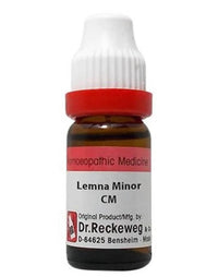 https://cdn.shopify.com/s/files/1/1857/6931/products/JMRUhGquaS.jpg?v=1653992658