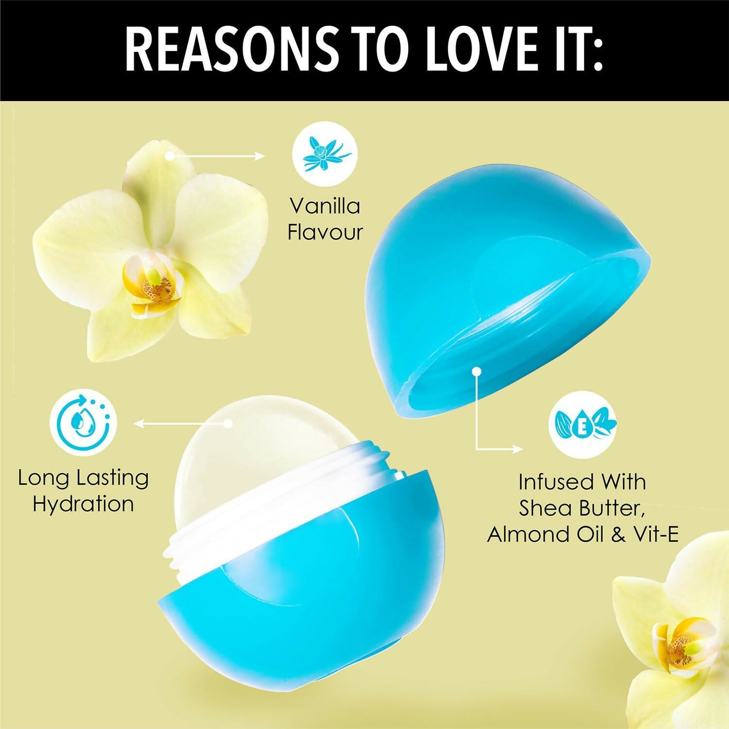 https://cdn.shopify.com/s/files/1/1857/6931/files/JNBPd5q4Dd.jpg?v=1733404093