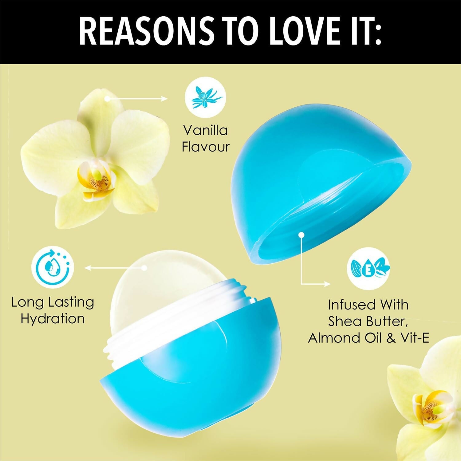 https://cdn.shopify.com/s/files/1/1857/6931/files/JNBPd5q4Dd.jpg?v=1733404093