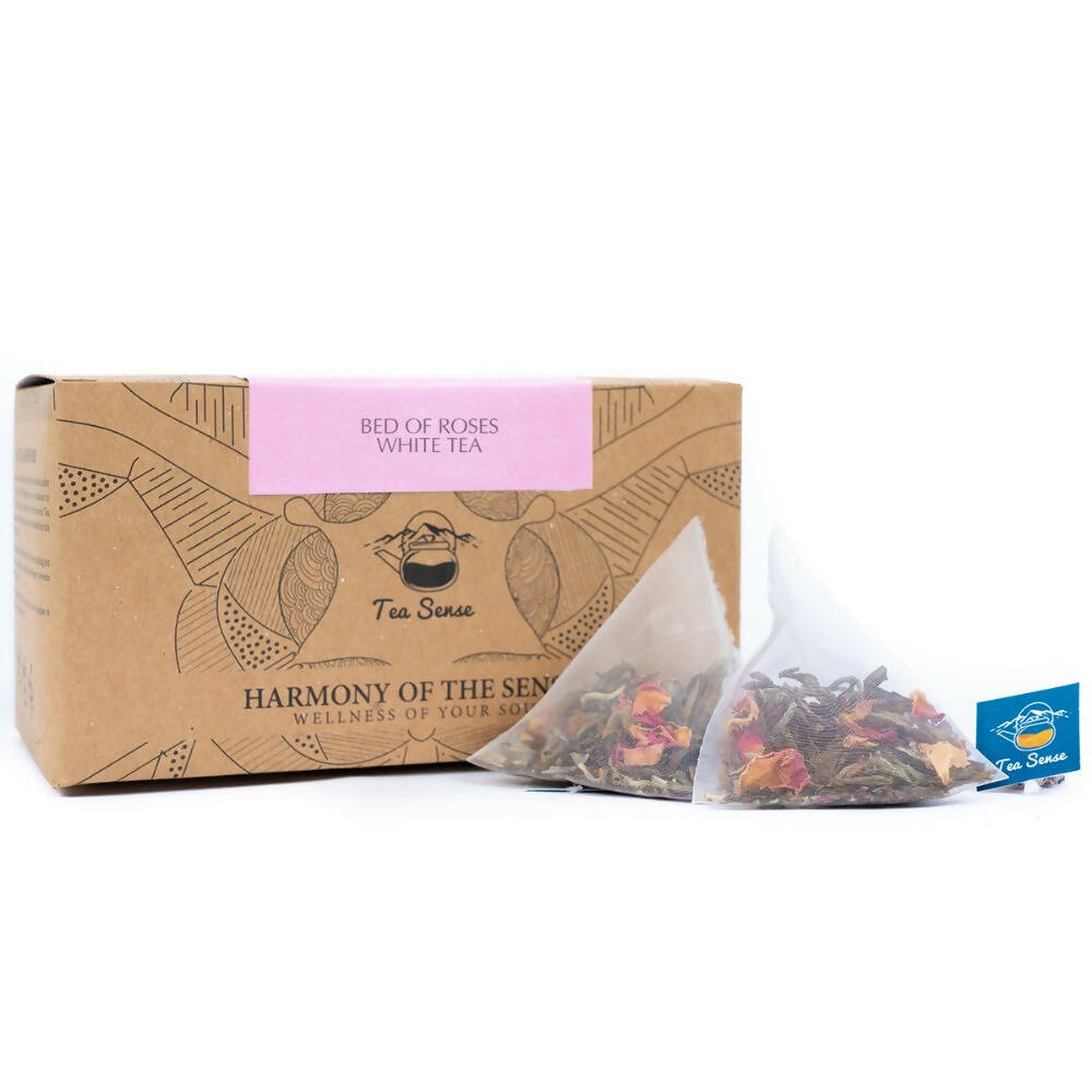 https://cdn.shopify.com/s/files/1/1857/6931/products/JNXKaecCSg.jpg?v=1679552400