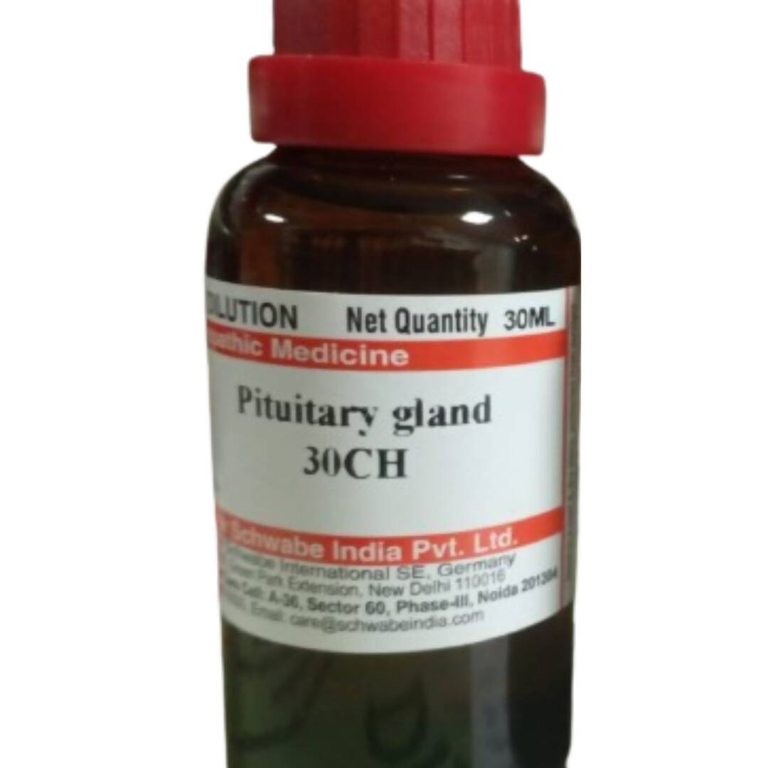https://cdn.shopify.com/s/files/1/1857/6931/products/JNavyfF04s.jpg?v=1705903868