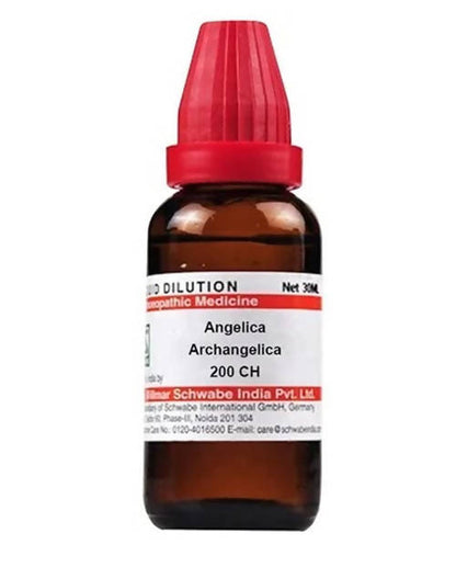 https://cdn.shopify.com/s/files/1/1857/6931/products/JOMm9s5JKR.jpg?v=1640930294