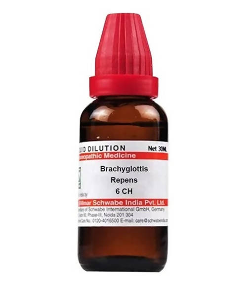 https://cdn.shopify.com/s/files/1/1857/6931/products/JOYELi1qH4.jpg?v=1640868321