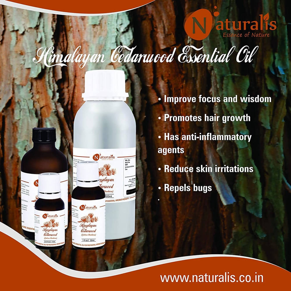 https://cdn.shopify.com/s/files/1/1857/6931/products/JPhJOozZJS.jpg?v=1623484630