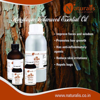https://cdn.shopify.com/s/files/1/1857/6931/products/JPhJOozZJS.jpg?v=1623484630