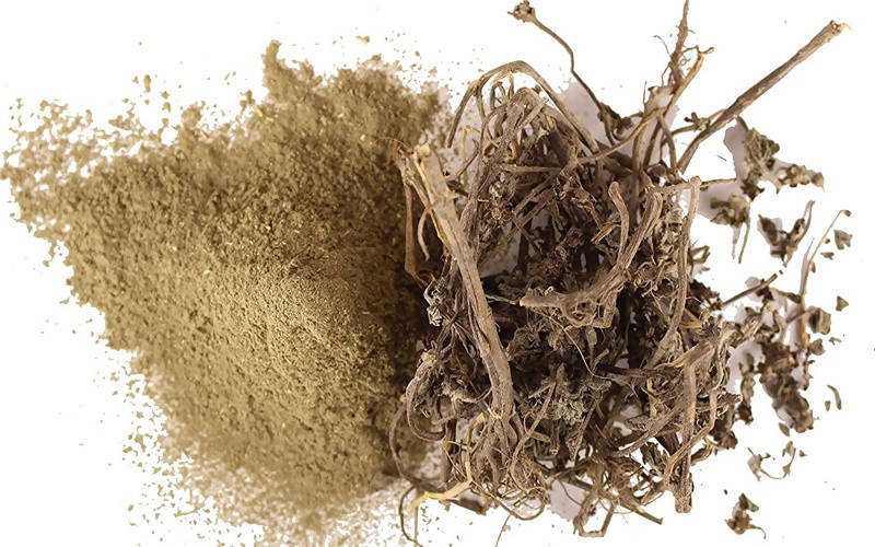 Image 9 of Dark Forest Hair Care Daily Use Combo