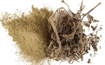 Image 9 of Dark Forest Hair Care Daily Use Combo