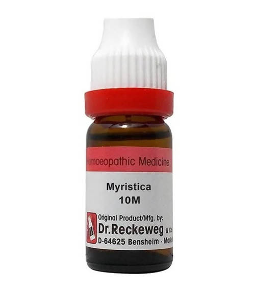 https://cdn.shopify.com/s/files/1/1857/6931/products/JVVTUifRG9.jpg?v=1645015685