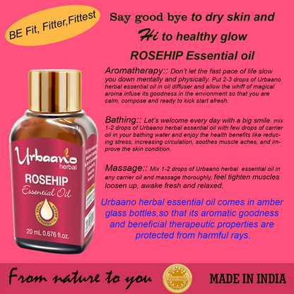 https://cdn.shopify.com/s/files/1/1857/6931/files/JWo5HNiHKL.png?v=1746598376