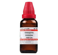 https://cdn.shopify.com/s/files/1/1857/6931/products/JYdlNF5gPe.jpg?v=1641293548