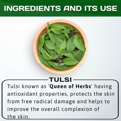 https://cdn.shopify.com/s/files/1/1857/6931/products/Jain-Tulsi-Ocimum-Sanctum-Holy-Basil-Pure-Powder-Ingredients.jpg?v=1718964259