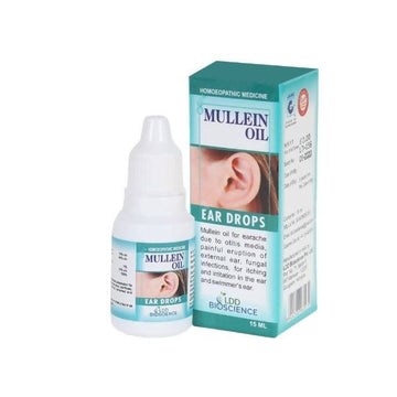 https://cdn.shopify.com/s/files/1/1857/6931/products/JbZd5d408H.jpg?v=1652870418
