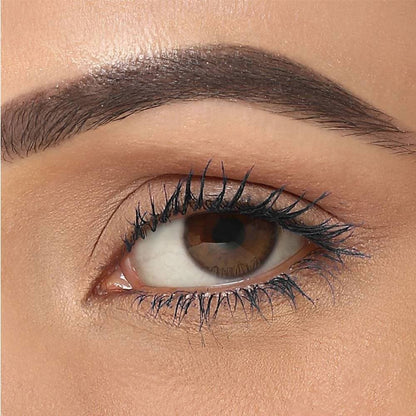 https://cdn.shopify.com/s/files/1/1857/6931/products/Jbn5OtqRKo.jpg?v=1613923815