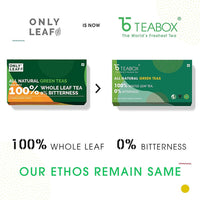 https://cdn.shopify.com/s/files/1/1857/6931/products/Jf9oik1GcW.jpg?v=1684743018