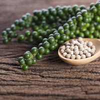 https://cdn.shopify.com/s/files/1/1857/6931/products/JfajDF6ozn.jpg?v=1667806369