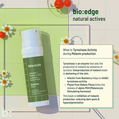 https://cdn.shopify.com/s/files/1/1857/6931/products/JgxWVR6uK1.jpg?v=1686027229