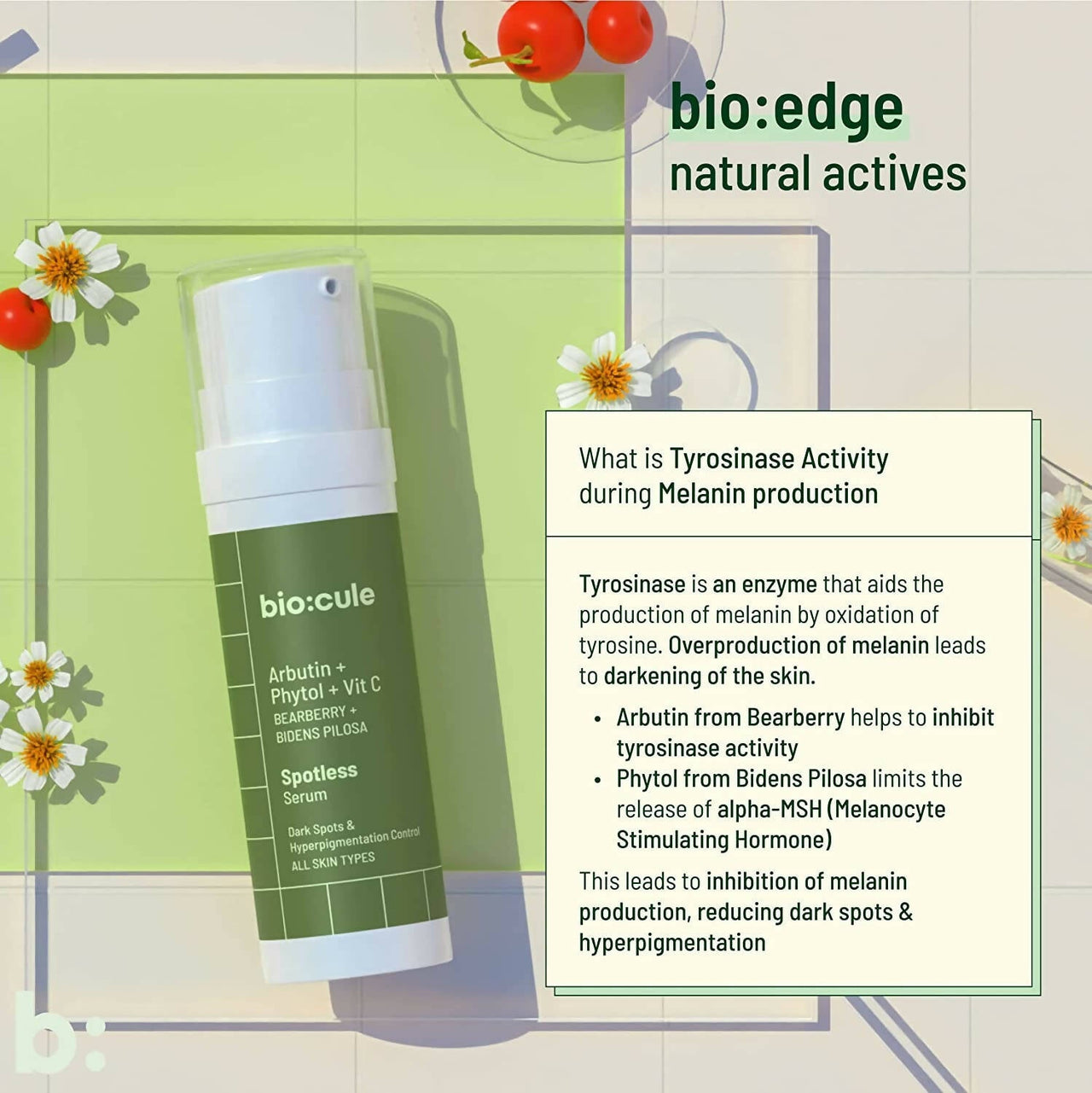 https://cdn.shopify.com/s/files/1/1857/6931/products/JgxWVR6uK1.jpg?v=1686027229