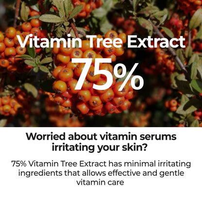 https://cdn.shopify.com/s/files/1/1857/6931/files/JhNSbWXhsm.jpg?v=1713013392