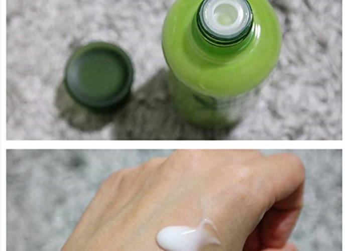 https://cdn.shopify.com/s/files/1/1857/6931/products/JjMR2jKwJd.jpg?v=1624366050