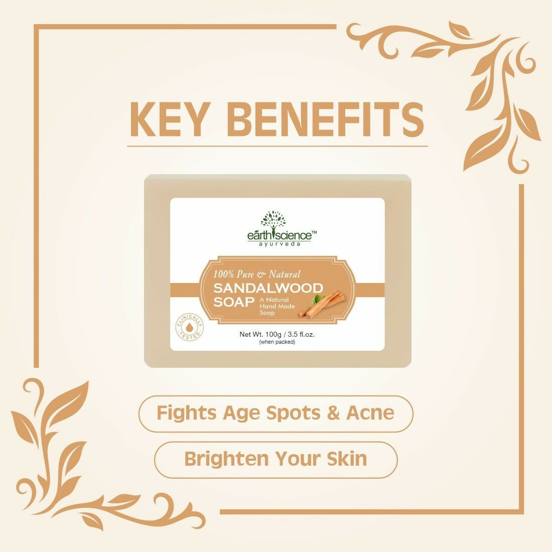 https://cdn.shopify.com/s/files/1/1857/6931/files/Jl1QqcIy7p.jpg?v=1731938252