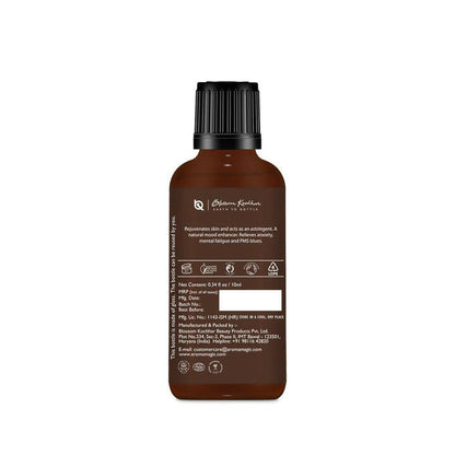 https://cdn.shopify.com/s/files/1/1857/6931/products/Jl3nc9SSit.jpg?v=1677749053