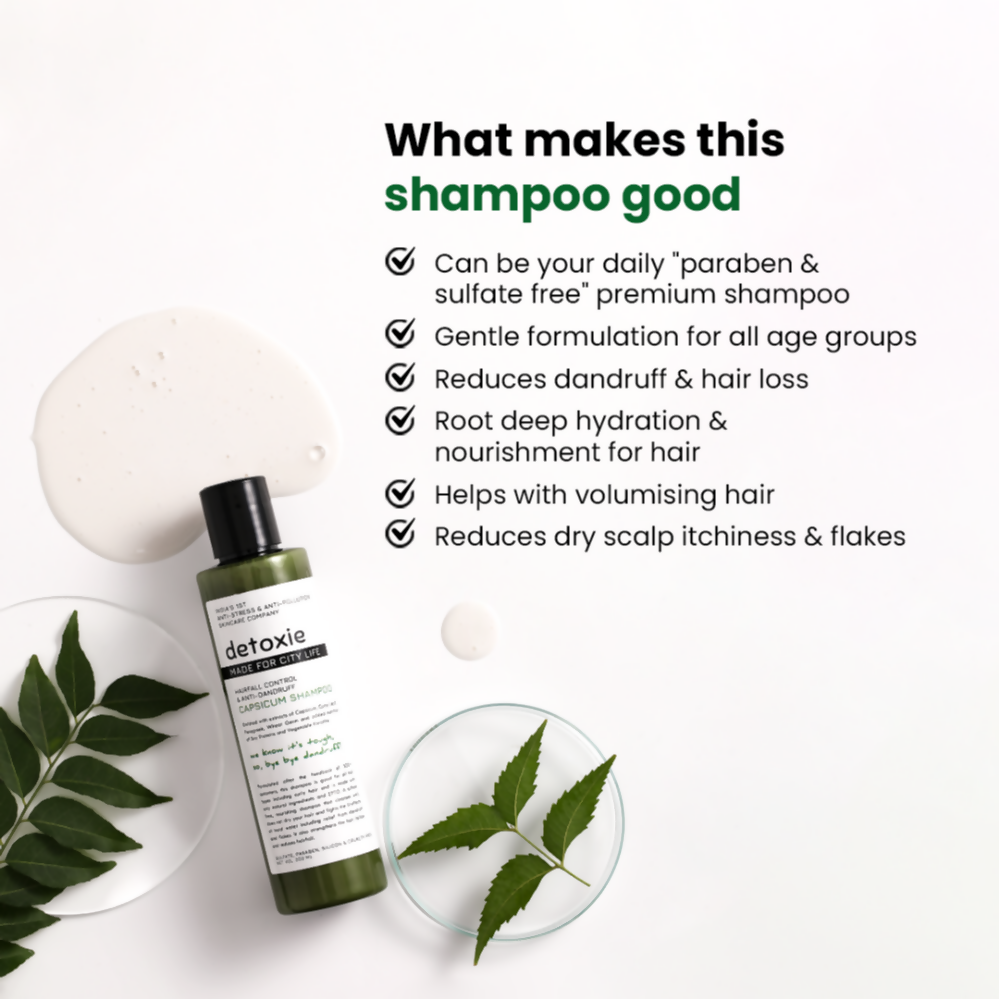 https://cdn.shopify.com/s/files/1/1857/6931/files/JlcR8Jlnw4.png?v=1754999163