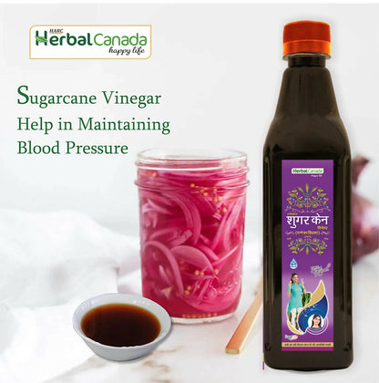 https://cdn.shopify.com/s/files/1/1857/6931/products/JloAB3YXaz.jpg?v=1702546381