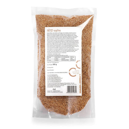 https://cdn.shopify.com/s/files/1/1857/6931/products/JmsUUVx6et.jpg?v=1647062506
