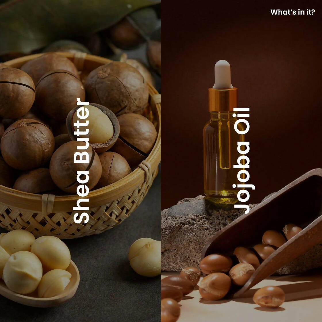 https://cdn.shopify.com/s/files/1/1857/6931/products/JoMQQZGD15.jpg?v=1710158326