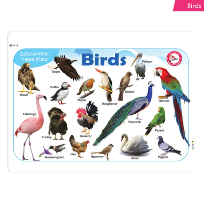 https://cdn.shopify.com/s/files/1/1857/6931/products/Jolly-Kids-Educational-Table-Mats-Set-of-8-3.jpg?v=1671430969