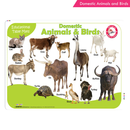 https://cdn.shopify.com/s/files/1/1857/6931/products/Jolly-Kids-Educational-Table-Mats-Set-of-8-4.jpg?v=1671430969