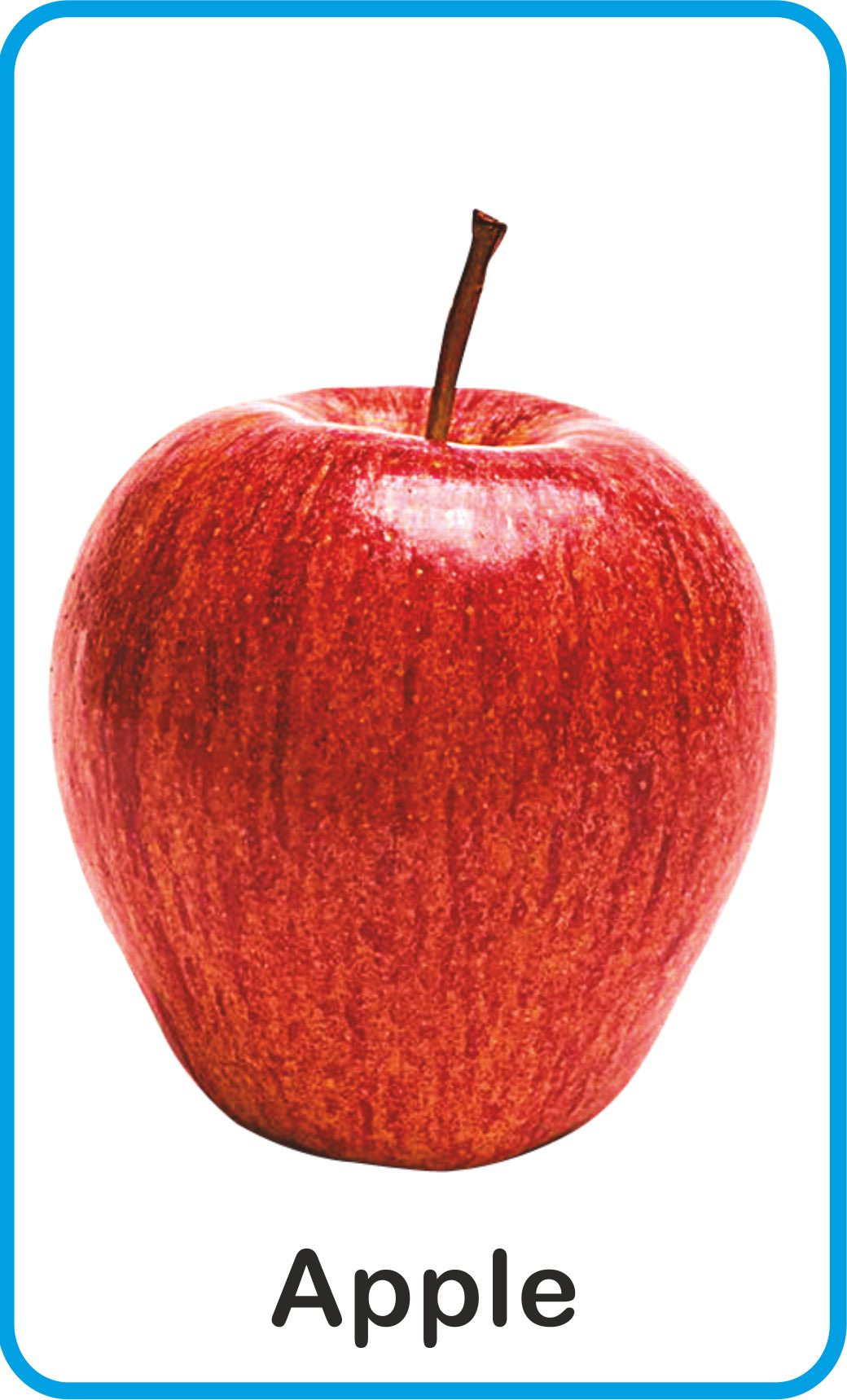 https://cdn.shopify.com/s/files/1/1857/6931/products/Jolly-Kids-Flash-Cards-Fruits-2.jpg?v=1671518844
