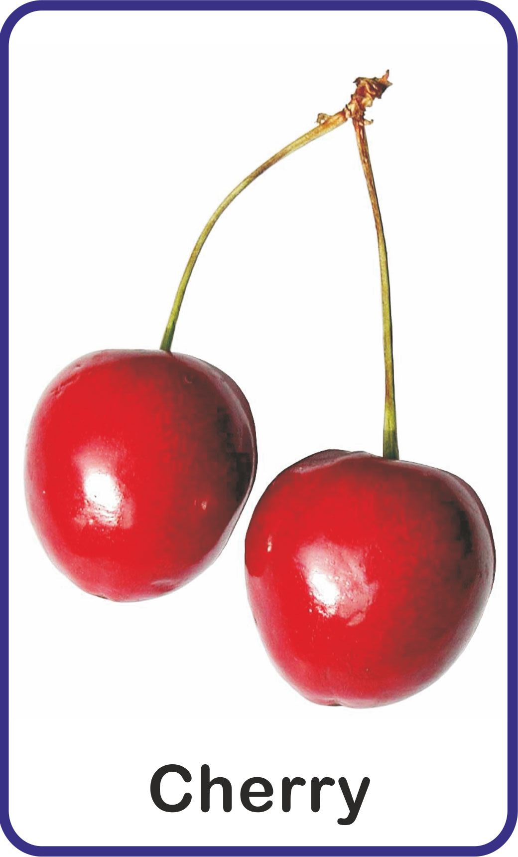 https://cdn.shopify.com/s/files/1/1857/6931/products/Jolly-Kids-Flash-Cards-Fruits-4.jpg?v=1671518844