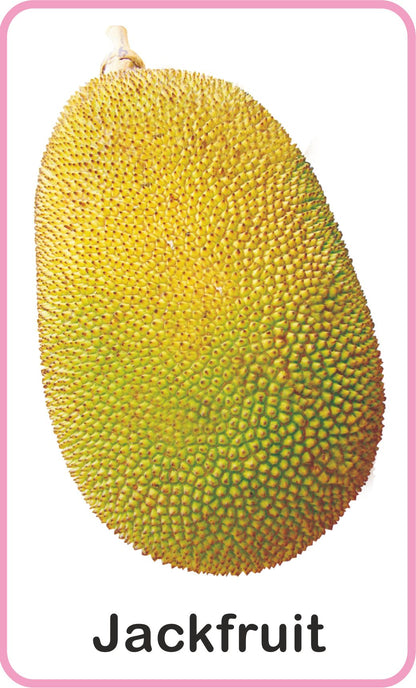 https://cdn.shopify.com/s/files/1/1857/6931/products/Jolly-Kids-Flash-Cards-Fruits-8.jpg?v=1671518844