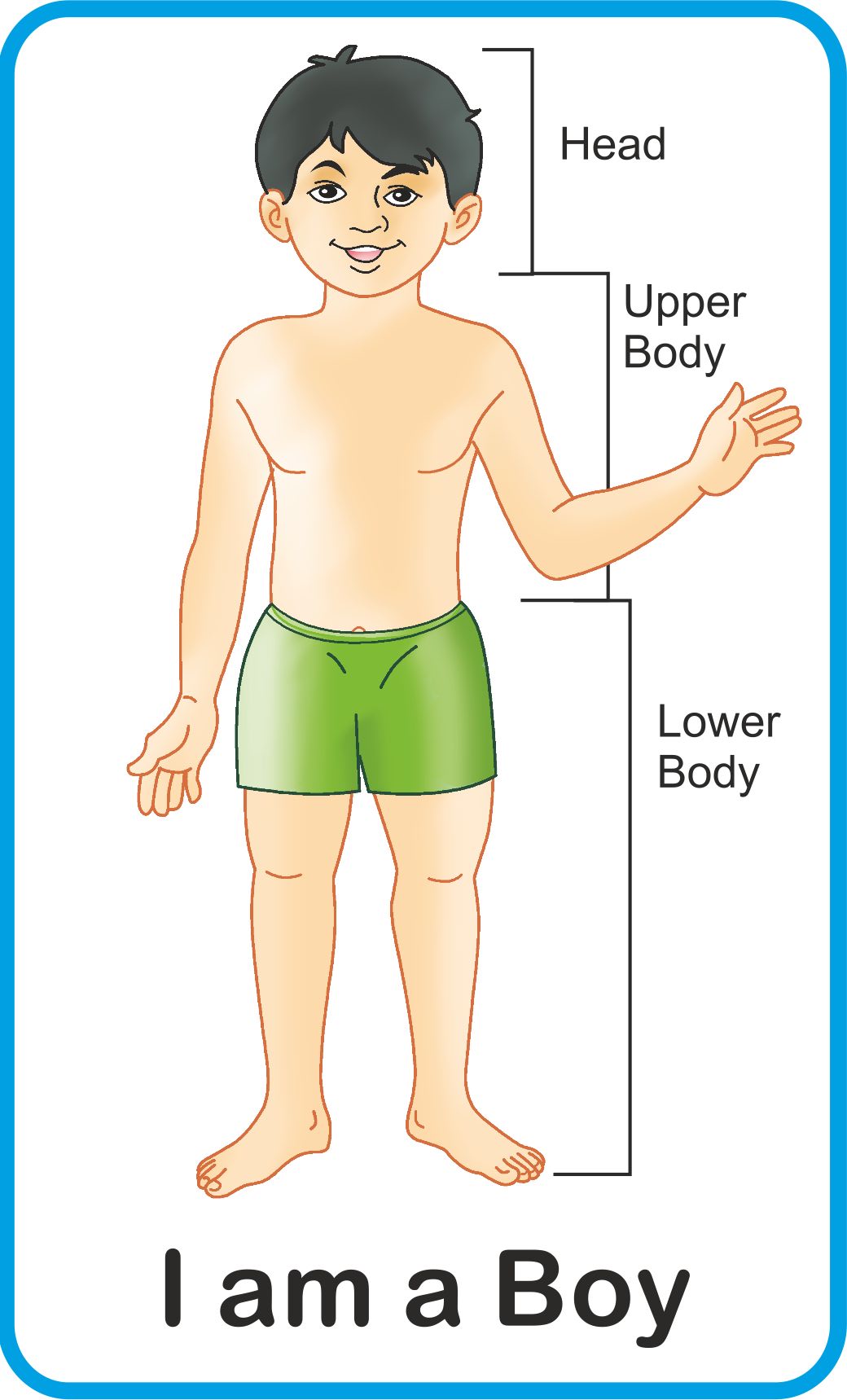 https://cdn.shopify.com/s/files/1/1857/6931/products/Jolly-Kids-Flash-Cards-My-Body-Parts-2.jpg?v=1671519561