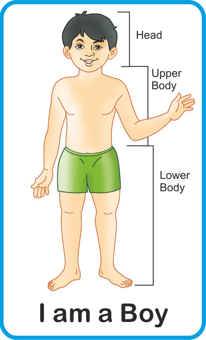 https://cdn.shopify.com/s/files/1/1857/6931/products/Jolly-Kids-Flash-Cards-My-Body-Parts-2.jpg?v=1671519561