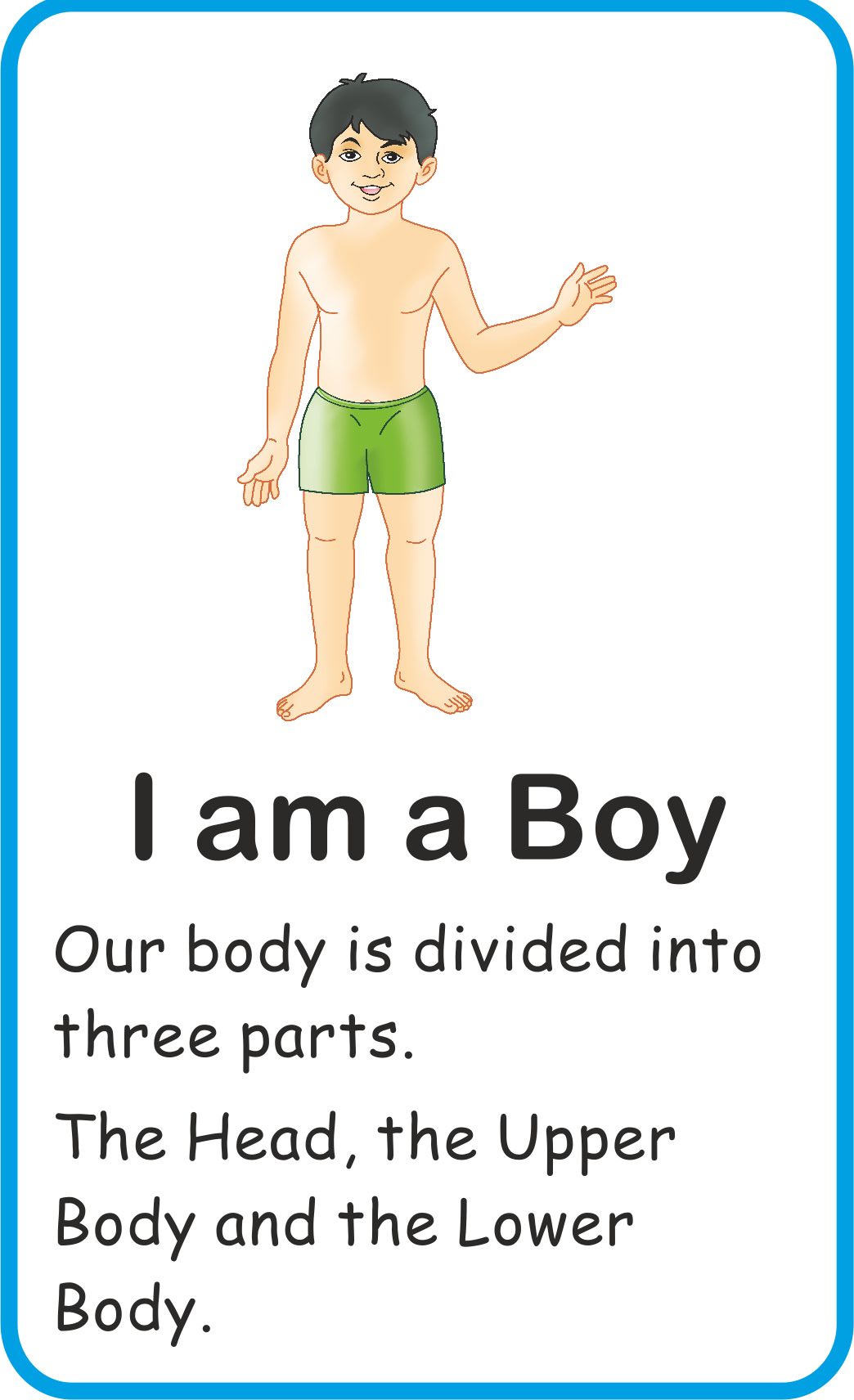 https://cdn.shopify.com/s/files/1/1857/6931/products/Jolly-Kids-Flash-Cards-My-Body-Parts-3.jpg?v=1671519561