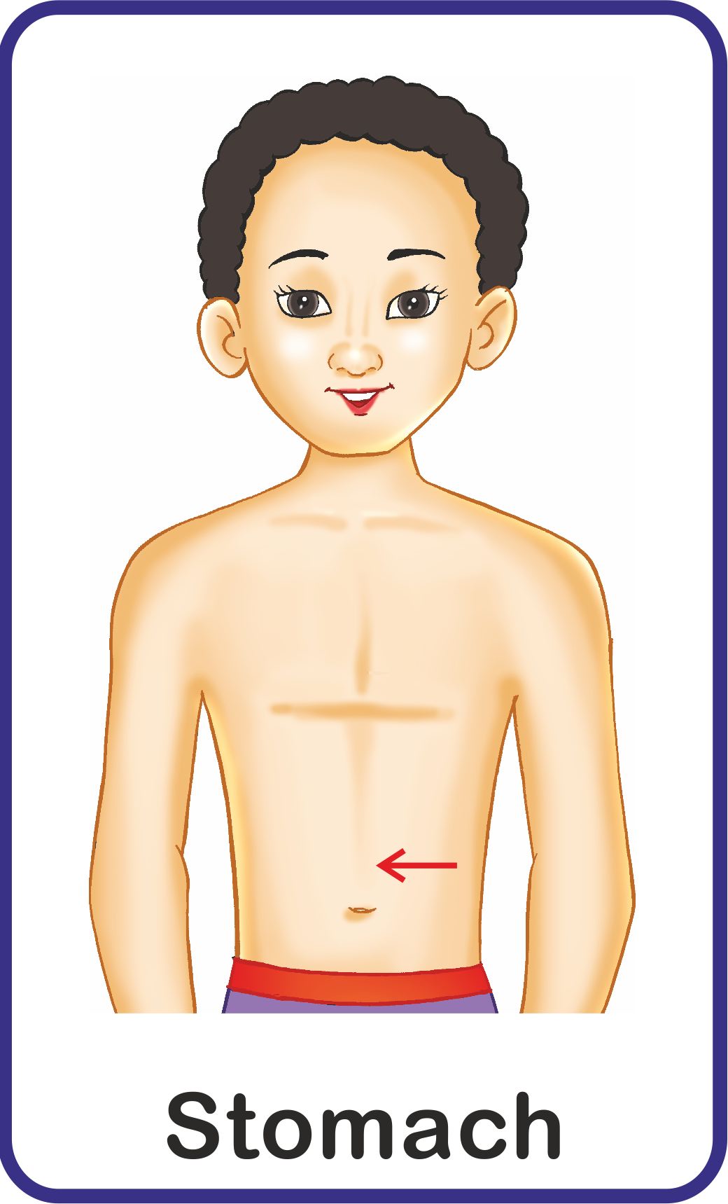 https://cdn.shopify.com/s/files/1/1857/6931/products/Jolly-Kids-Flash-Cards-My-Body-Parts-6.jpg?v=1671519561