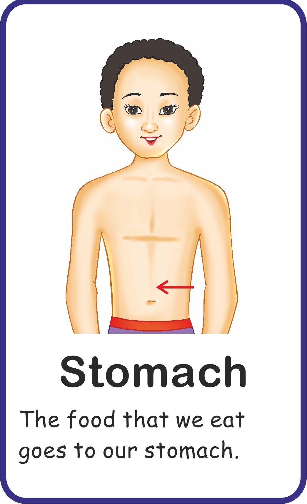 https://cdn.shopify.com/s/files/1/1857/6931/products/Jolly-Kids-Flash-Cards-My-Body-Parts-7.jpg?v=1671519561