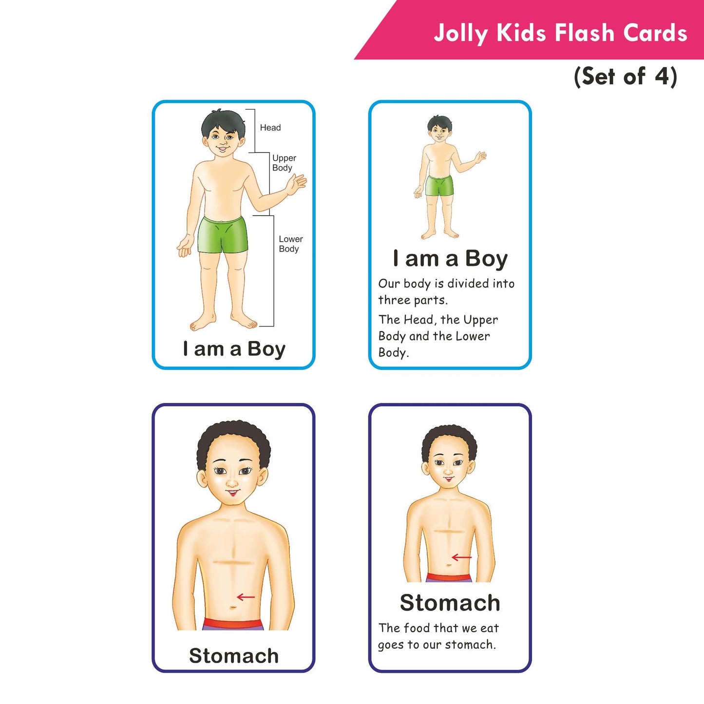 https://cdn.shopify.com/s/files/1/1857/6931/products/Jolly-Kids-Flash-Cards-Set-of-4-5.jpg?v=1671431964