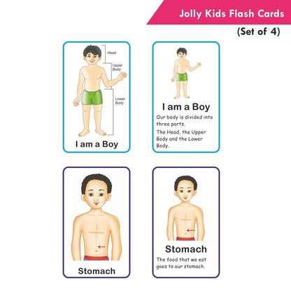 https://cdn.shopify.com/s/files/1/1857/6931/products/Jolly-Kids-Flash-Cards-Set-of-4-5.jpg?v=1671431964
