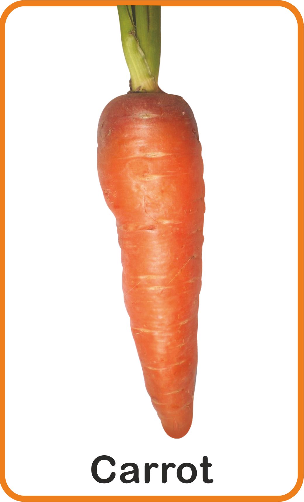 https://cdn.shopify.com/s/files/1/1857/6931/products/Jolly-Kids-Flash-Cards-Vegetables-2.jpg?v=1671519634