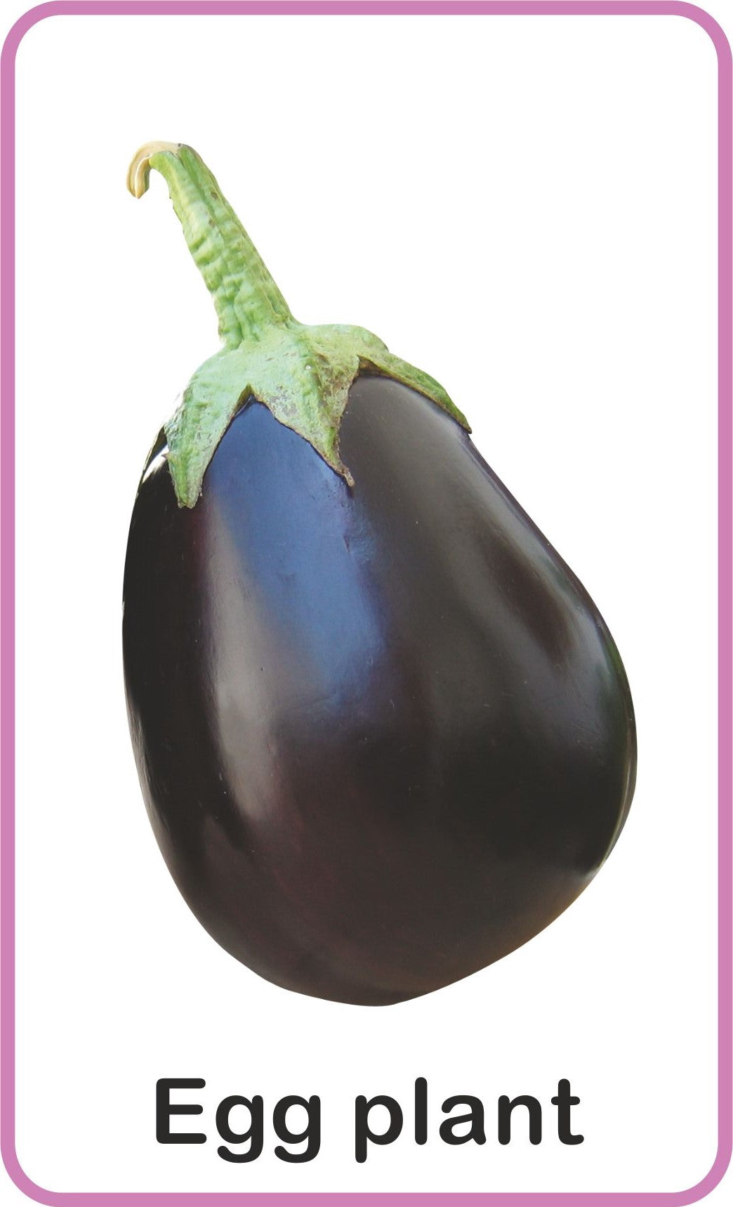 https://cdn.shopify.com/s/files/1/1857/6931/products/Jolly-Kids-Flash-Cards-Vegetables-4.jpg?v=1671519634
