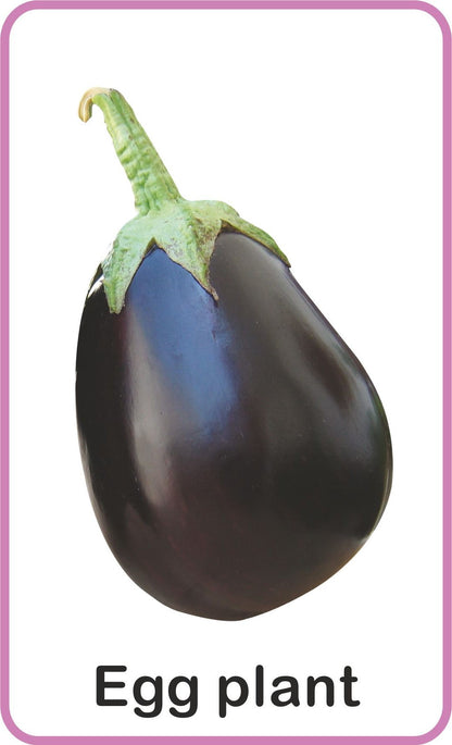 https://cdn.shopify.com/s/files/1/1857/6931/products/Jolly-Kids-Flash-Cards-Vegetables-4.jpg?v=1671519634