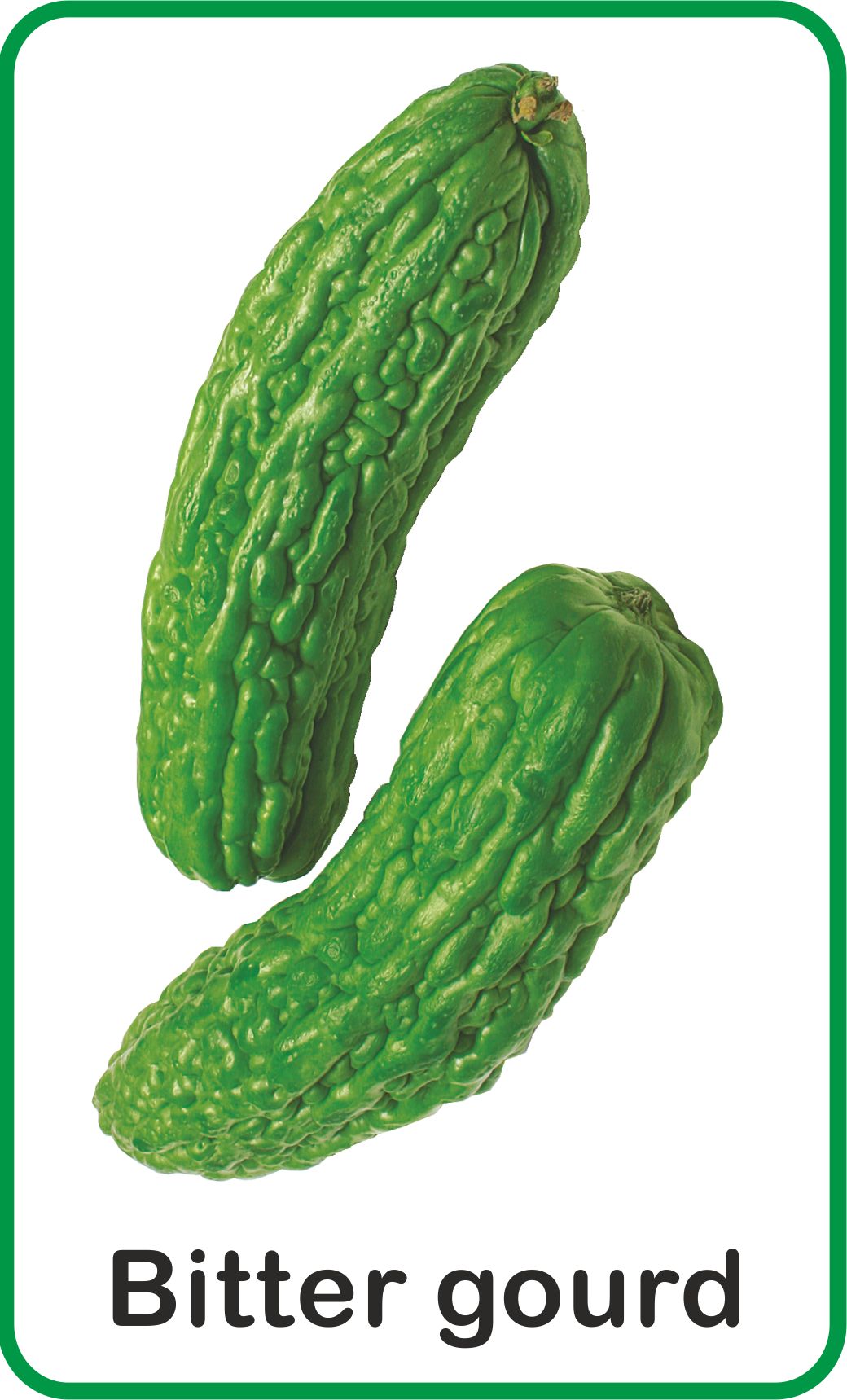 https://cdn.shopify.com/s/files/1/1857/6931/products/Jolly-Kids-Flash-Cards-Vegetables-6.jpg?v=1671519634