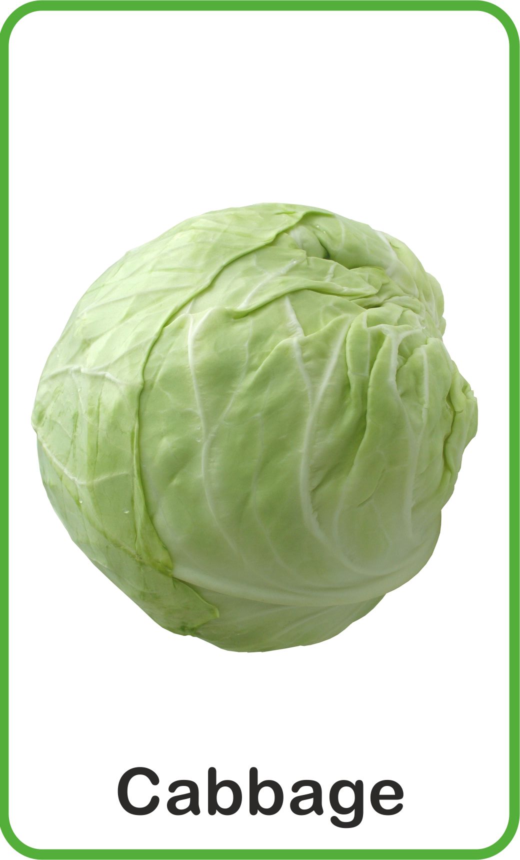 https://cdn.shopify.com/s/files/1/1857/6931/products/Jolly-Kids-Flash-Cards-Vegetables-8.jpg?v=1671519634